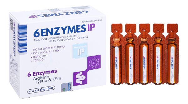 Men tiêu hóa 6 Enzymes IP