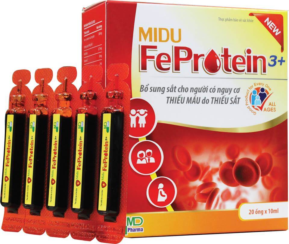 Fe protein