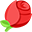 hoa hồng
